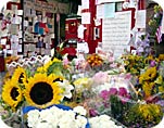 flowers that overflow the sidewalk