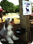 Watering Hole; Photo courtesy of Sarasota Florida County Parks